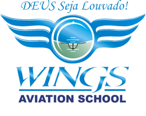Logo Wings